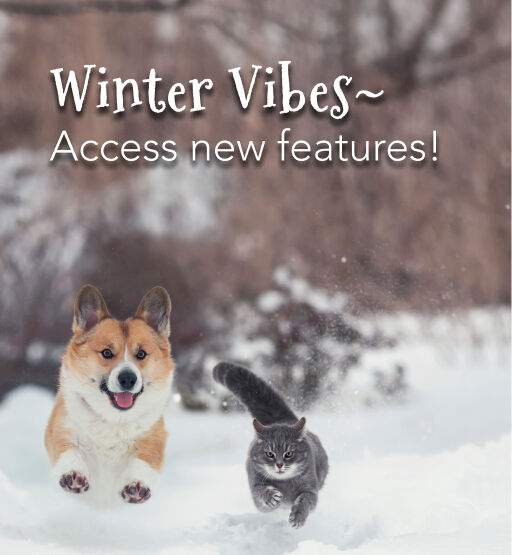 Access New Features 